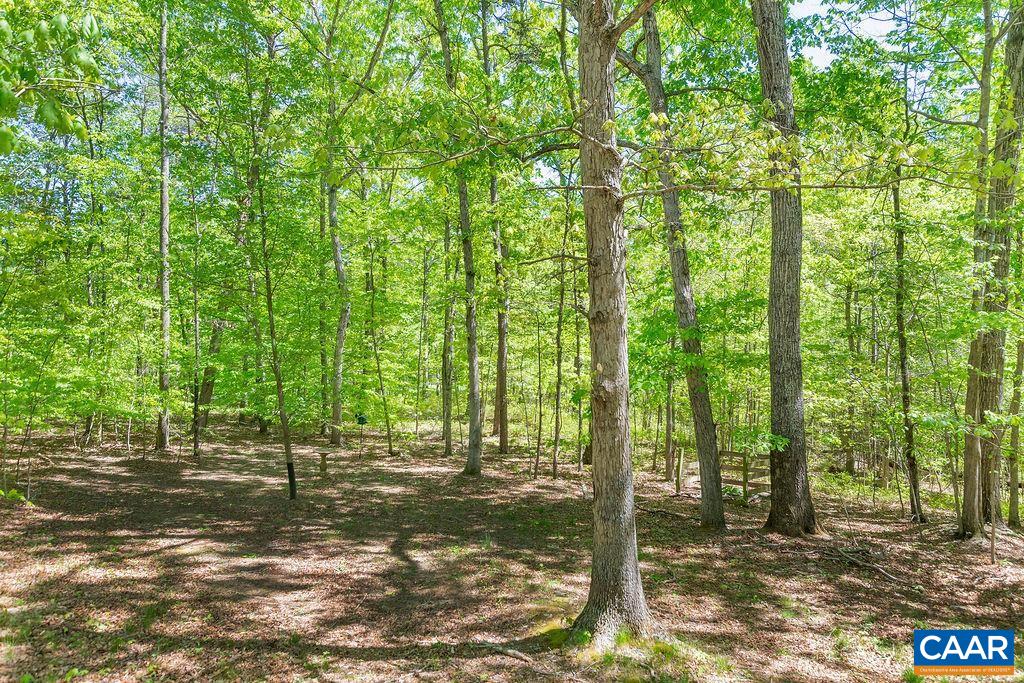 4594 Gilbert Station Road Barboursville, VA 22923 - Photo 26 of 28 Gallery Image 26
