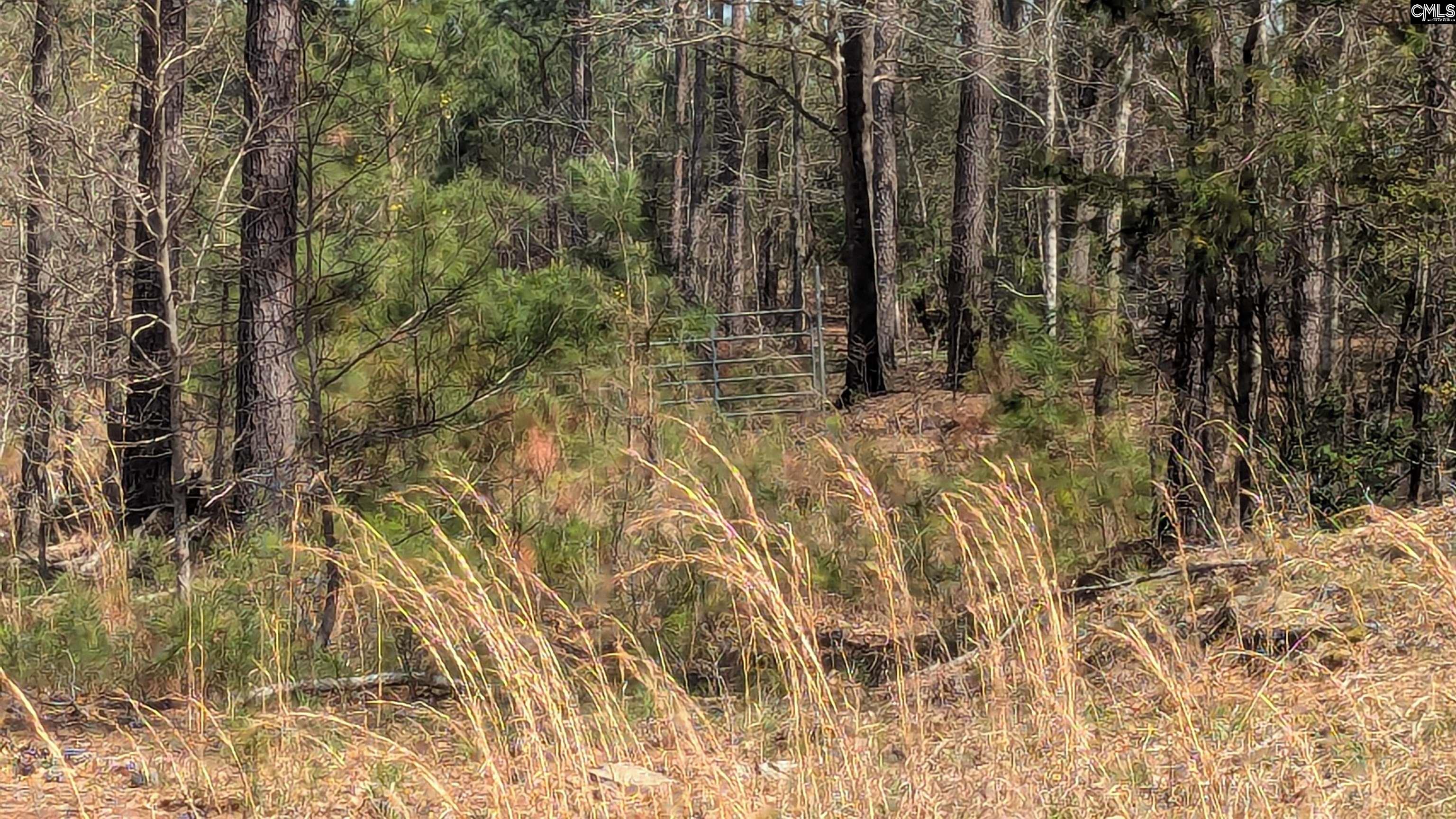 Evergreen Road Winnsboro, SC 29180 - Photo 3 of 3