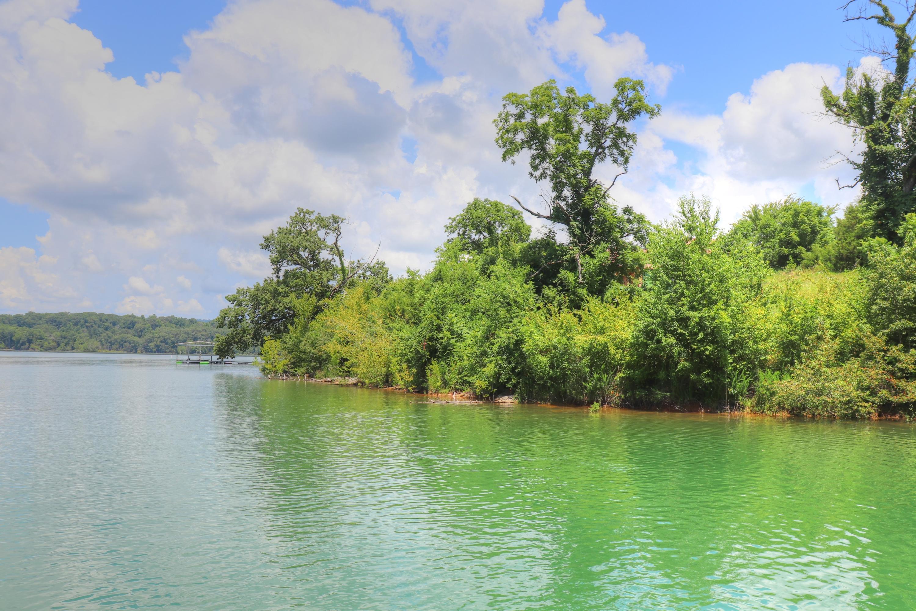 Lot 367 Russell Brothers Road Sharps Chapel, TN 37866 - Photo 2 of 35 Shoreline