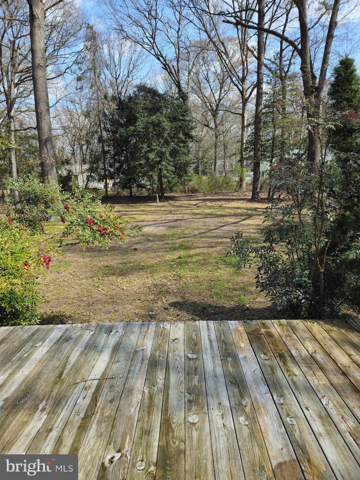 6933 Reliance Road Federalsburg, MD 21632 - Photo 3 of 20 View of back yard from deck