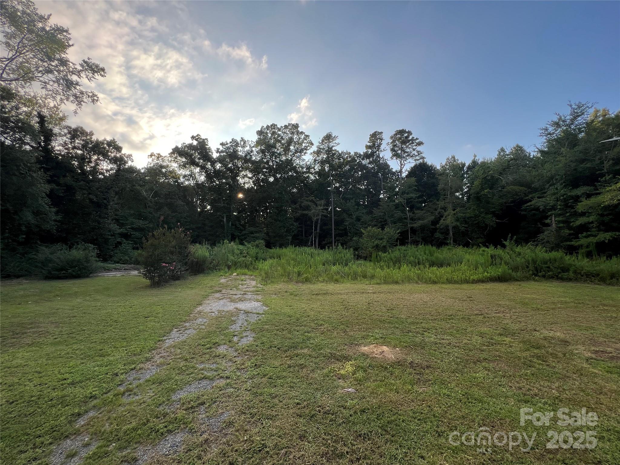 a view of a field with trees in background