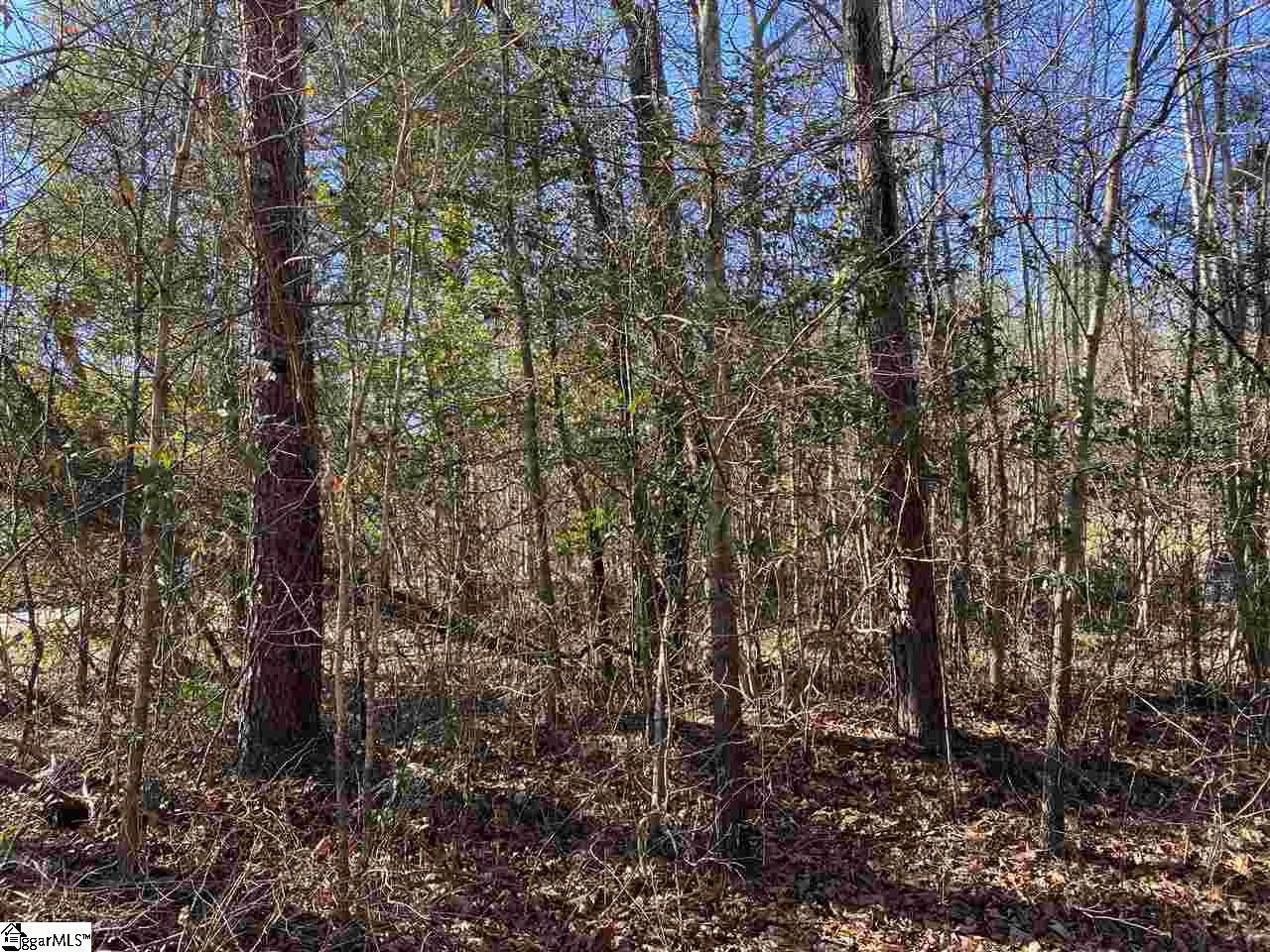 3653 Farrs Bridge Road Easley, SC 29640 - Photo 6 of 8