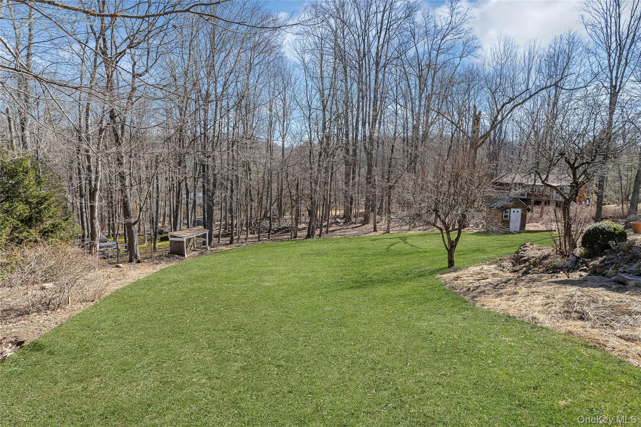 204 Cherry Hill Road Carmel, NY 10512 - Photo 29 of 36 a view of a park with large trees