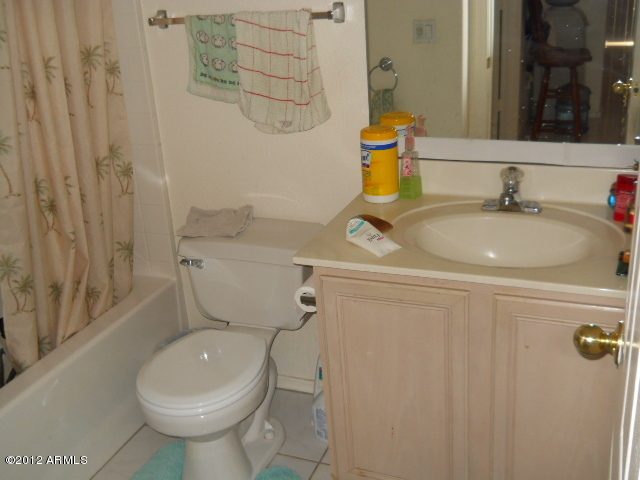 1767 East Redfield Road Gilbert, AZ 85234 - Photo 8 of 23 Bathroom