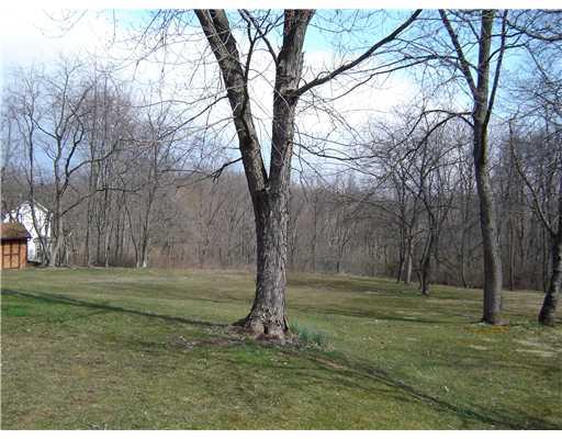 58 Shuster Road Gibsonia, PA 15044 - Photo 16 of 18 Land/Lot. This is the rear yard.