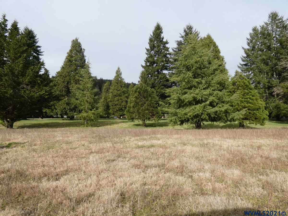 15 Omlid Drive Springfield, OR 97478 - Photo 5 of 11