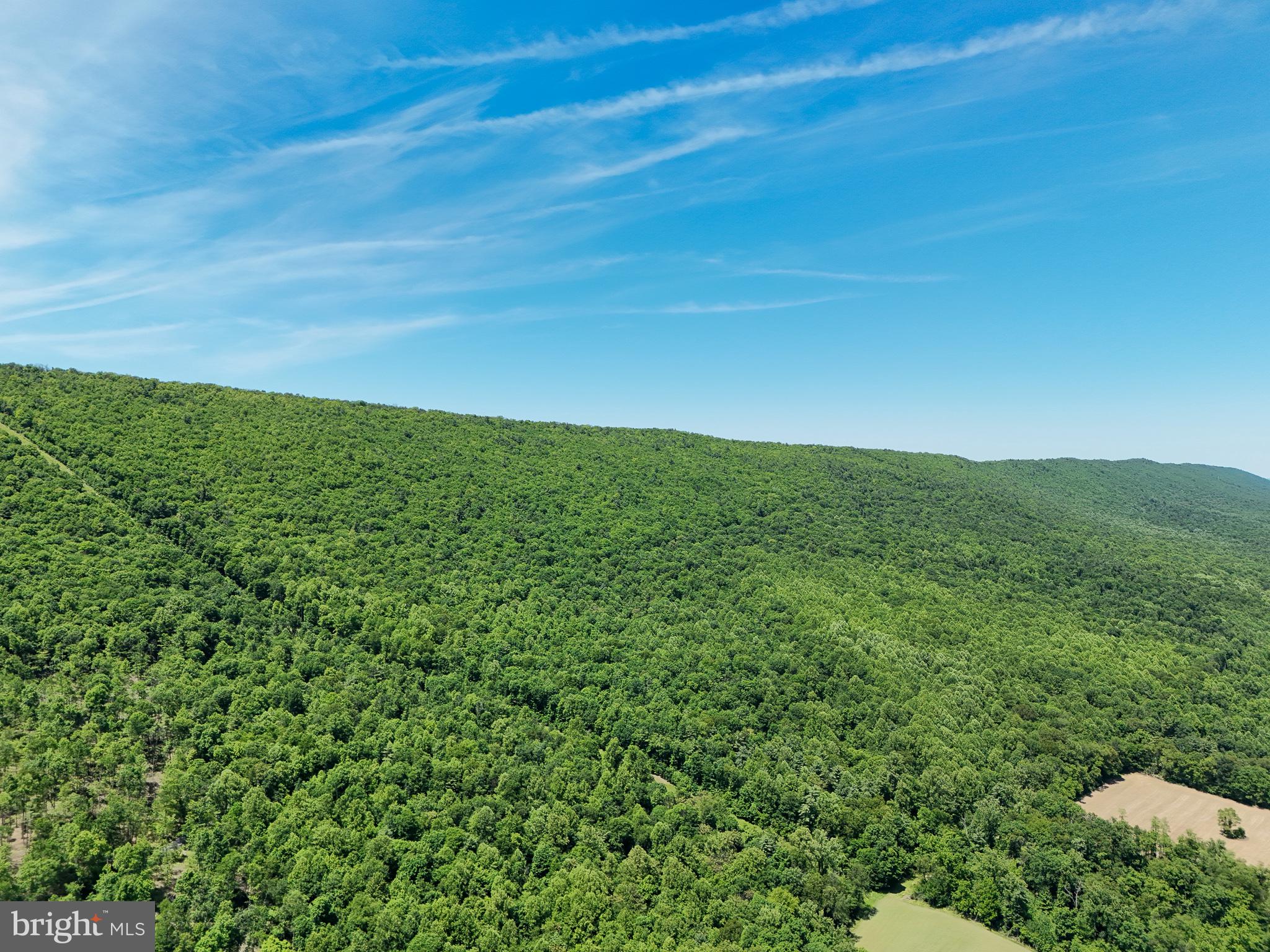 Lush green hills under a clear sky.