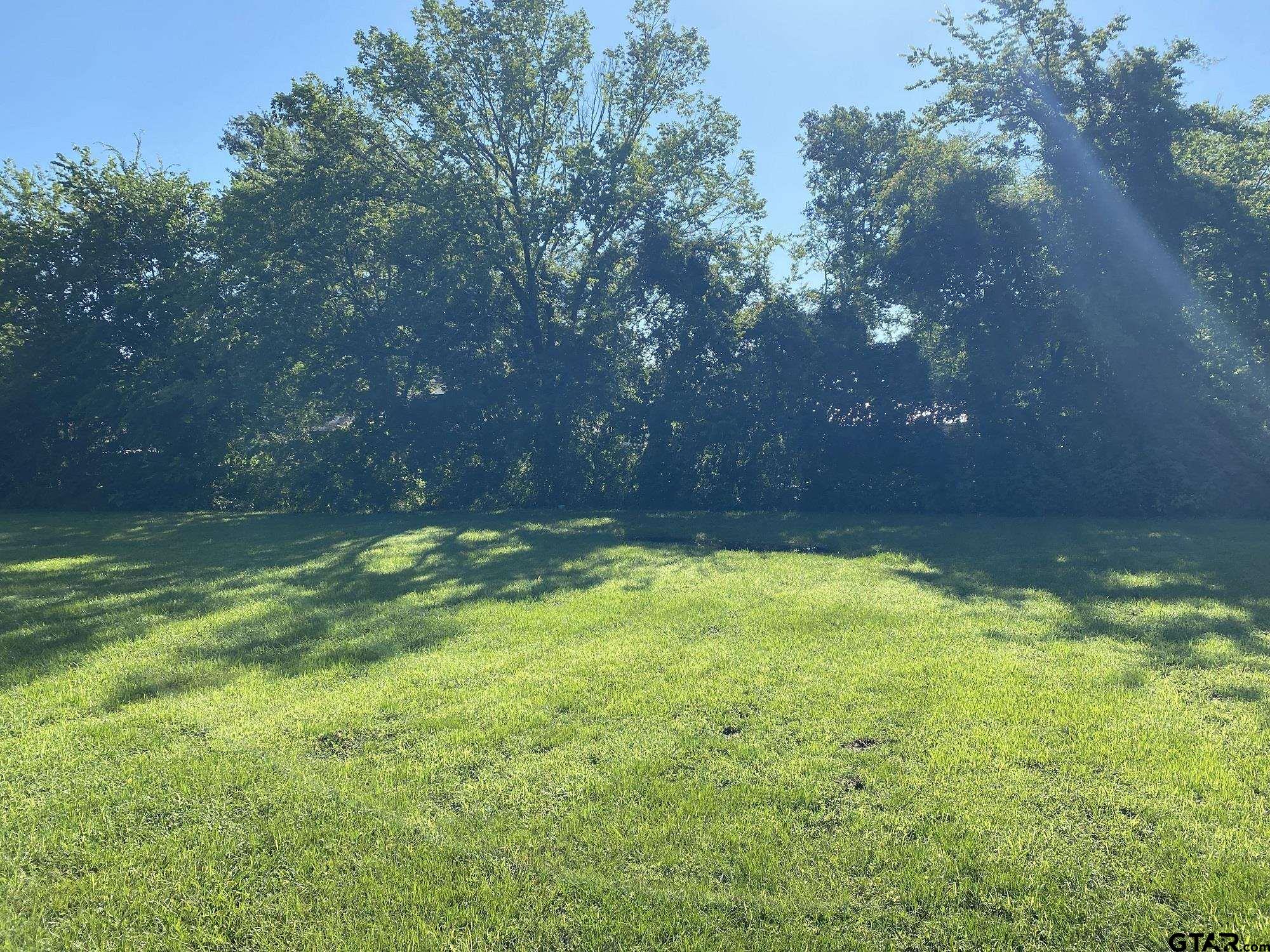 505 Red Springs Avenue Mount Pleasant, TX 75455 - Photo 9 of 9