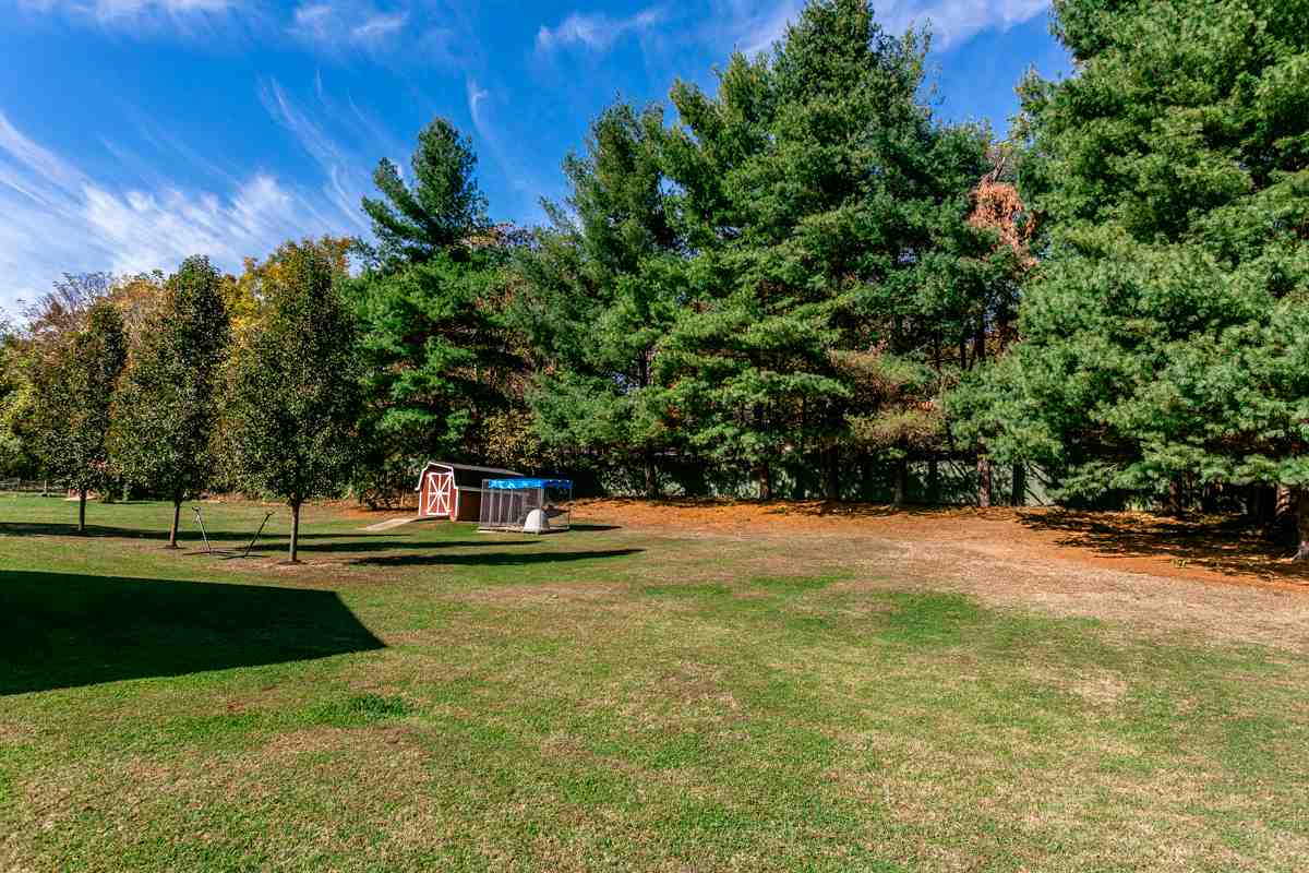 40 Greenfield Road Luray, VA 22835 - Photo 8 of 28 Lots of room in the rear yard