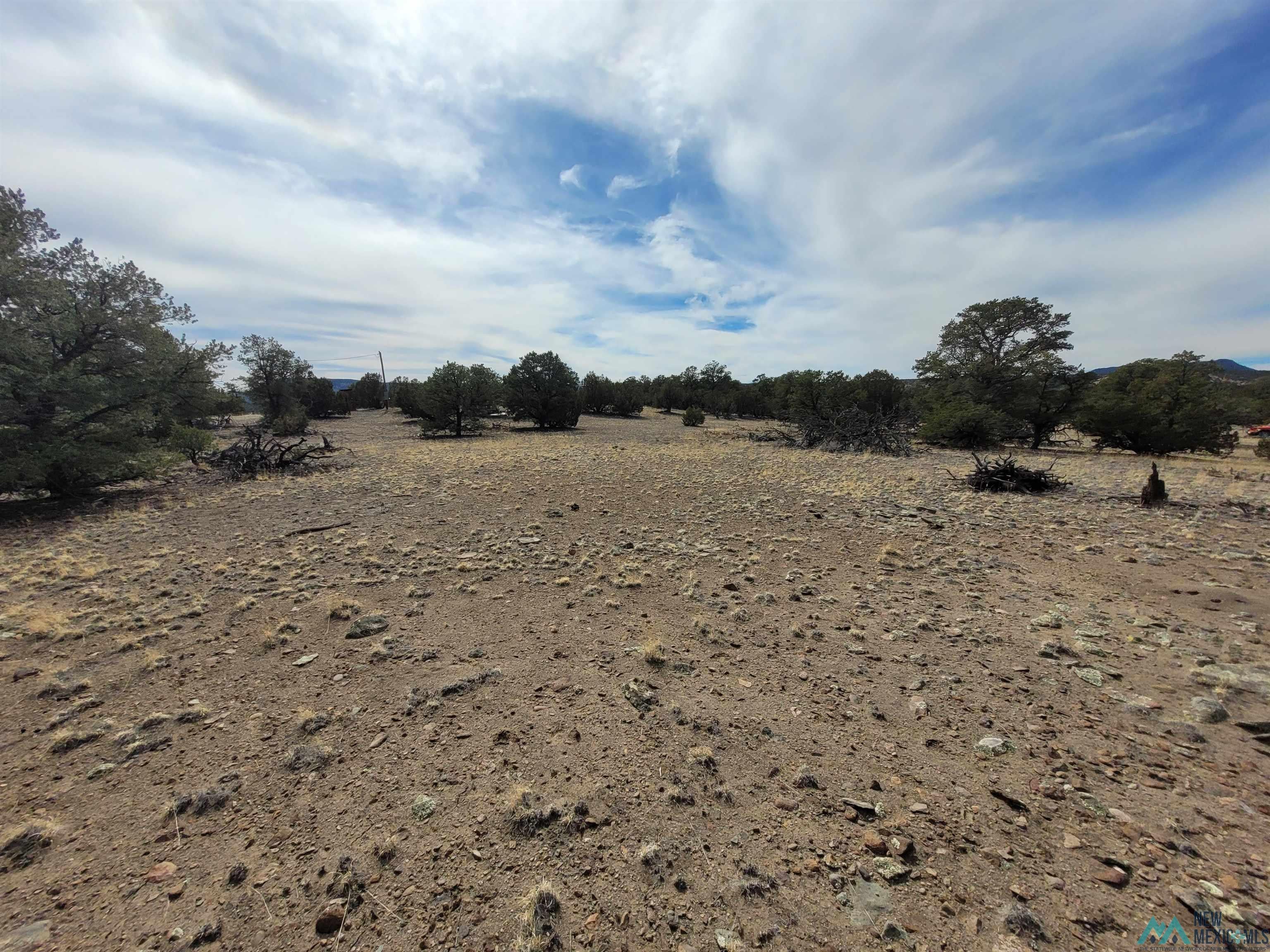 47 Cougar Run Datil, NM 87821 - Photo 34 of 38 Gallery Image 34
