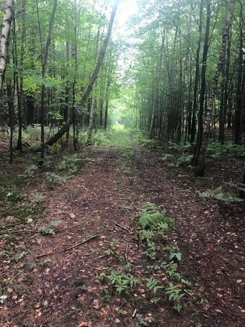 5000 South East County Line Road Shepherd, MI 48883 - Photo 2 of 11 9