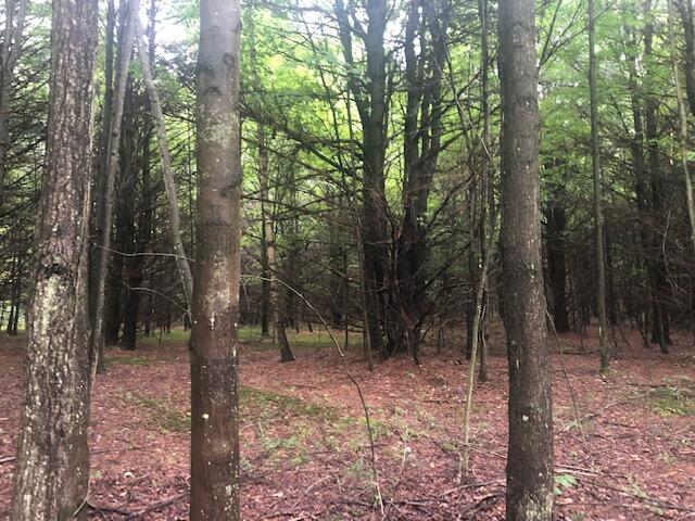 5000 South East County Line Road Shepherd, MI 48883 - Photo 6 of 11 6