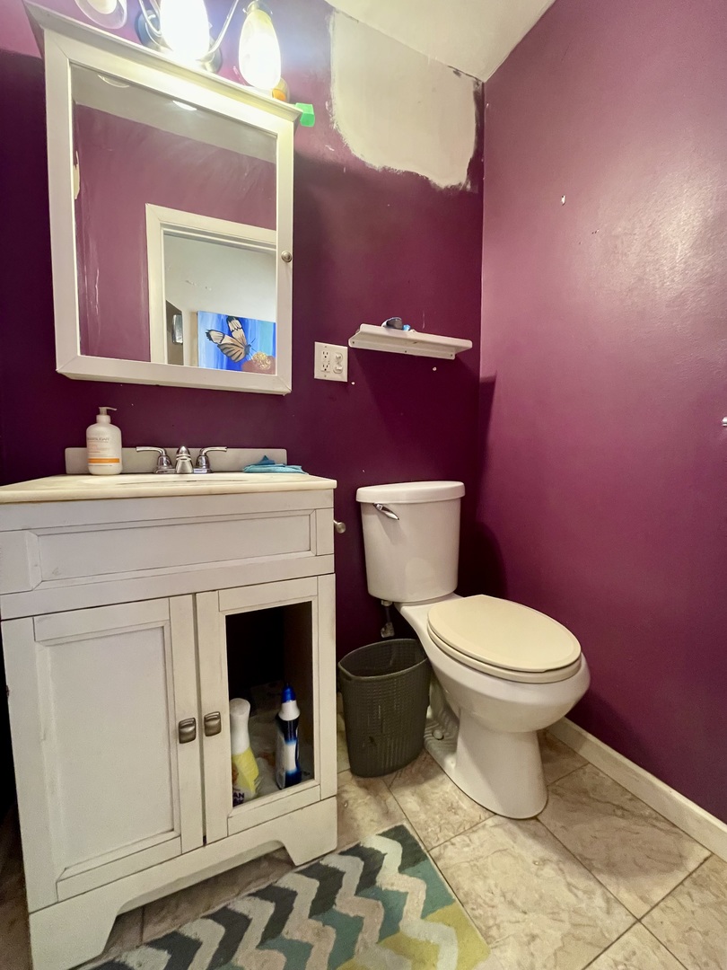 7916 South Constance Avenue Chicago, IL 60617 - Photo 18 of 28 a bathroom with a toilet a sink and mirror