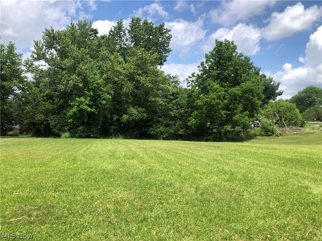 Lillian Street Southwest Canton, OH 44706 - Photo 8 of 9