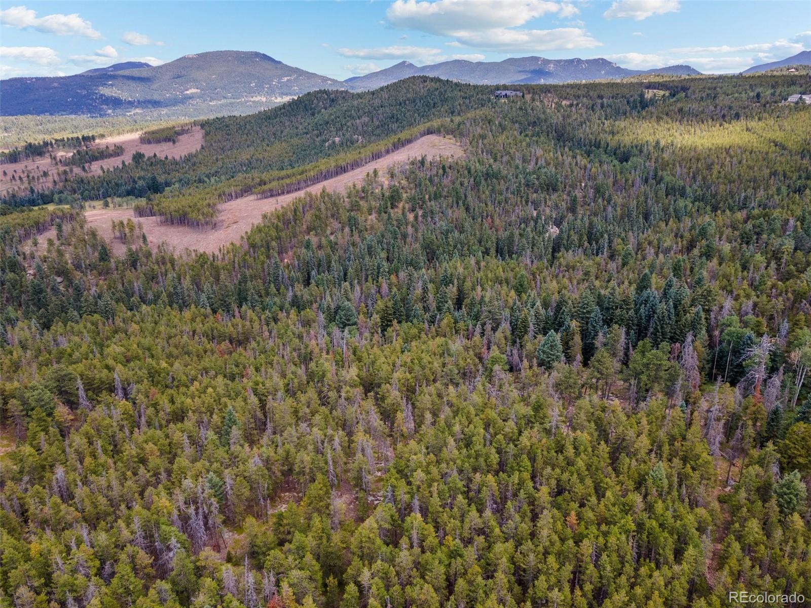 8570 South Warhawk Road Conifer, CO 80433 - Photo 17 of 19 a view of lake with mountain