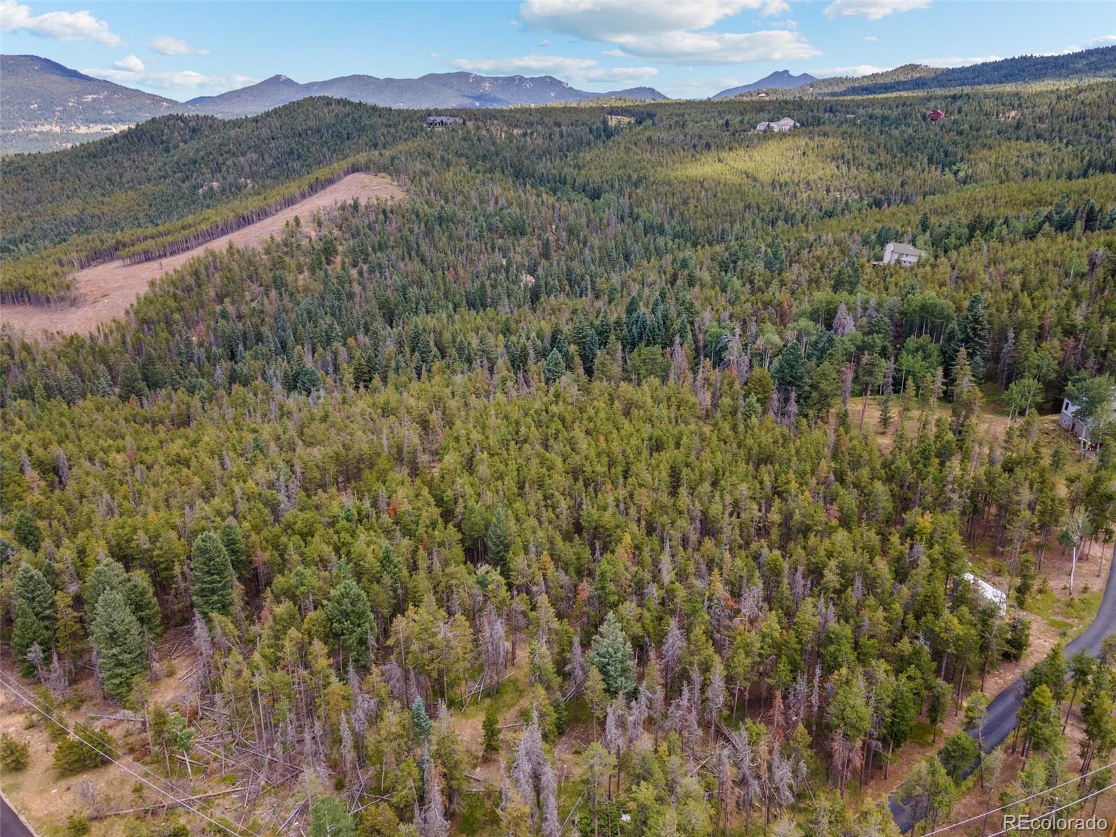 8570 South Warhawk Road Conifer, CO 80433 - Photo 18 of 19 a view of mountain with trees in the background