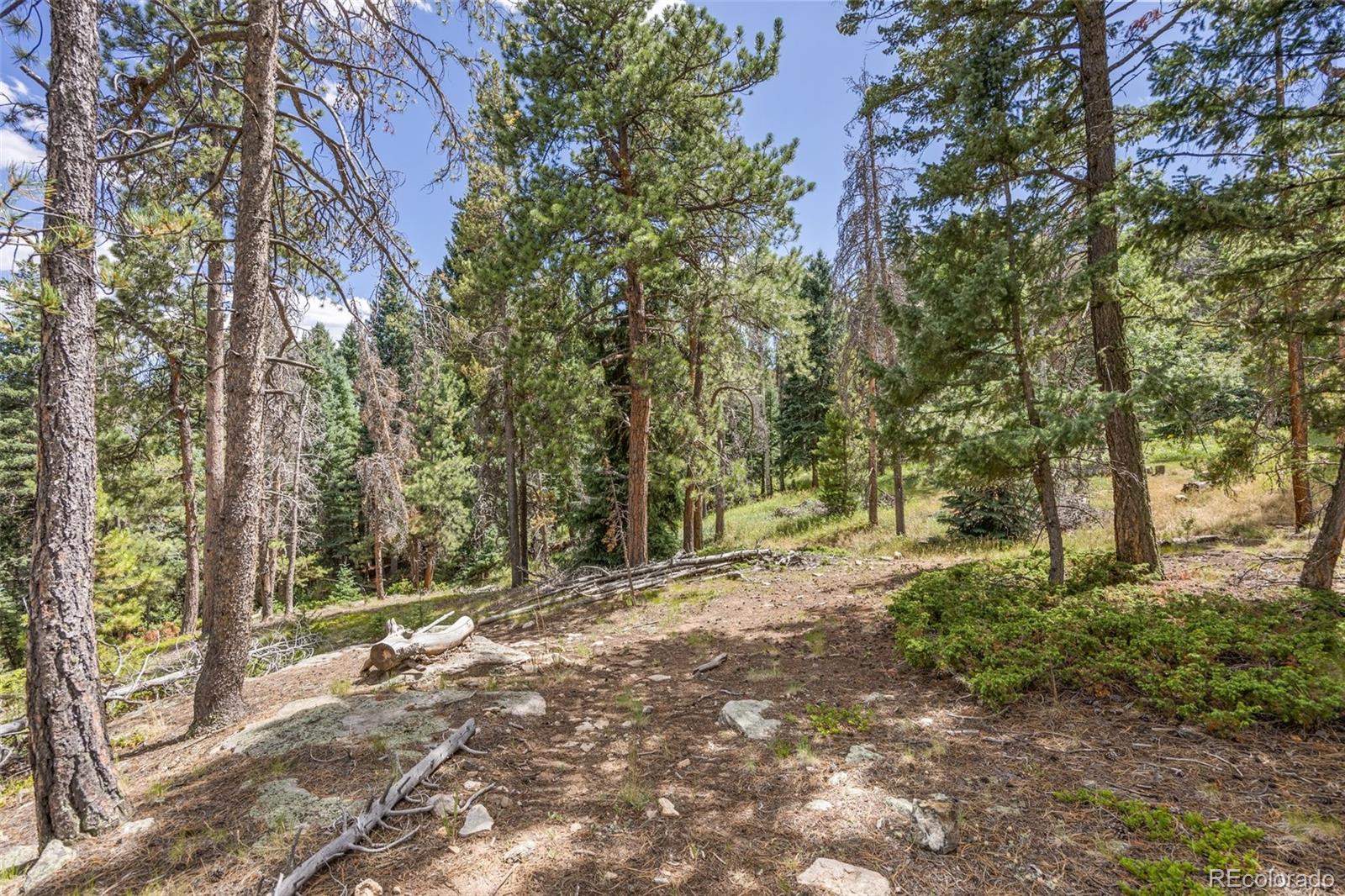 8570 South Warhawk Road Conifer, CO 80433 - Photo 2 of 19