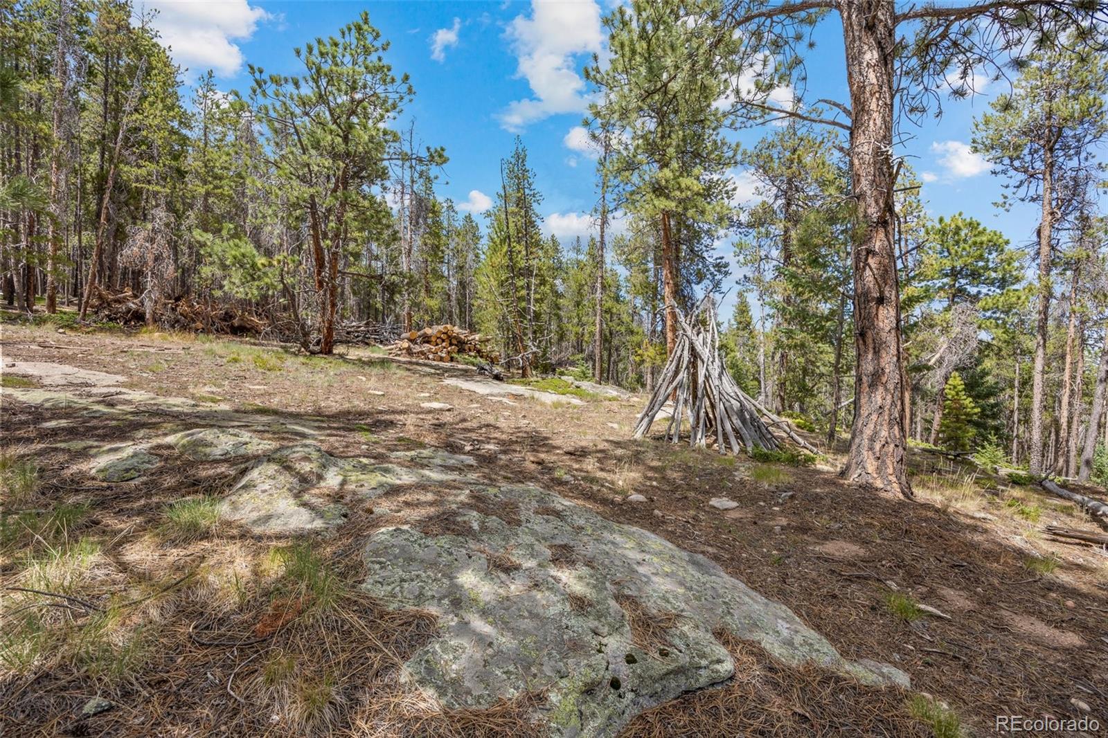 8570 South Warhawk Road Conifer, CO 80433 - Photo 3 of 19