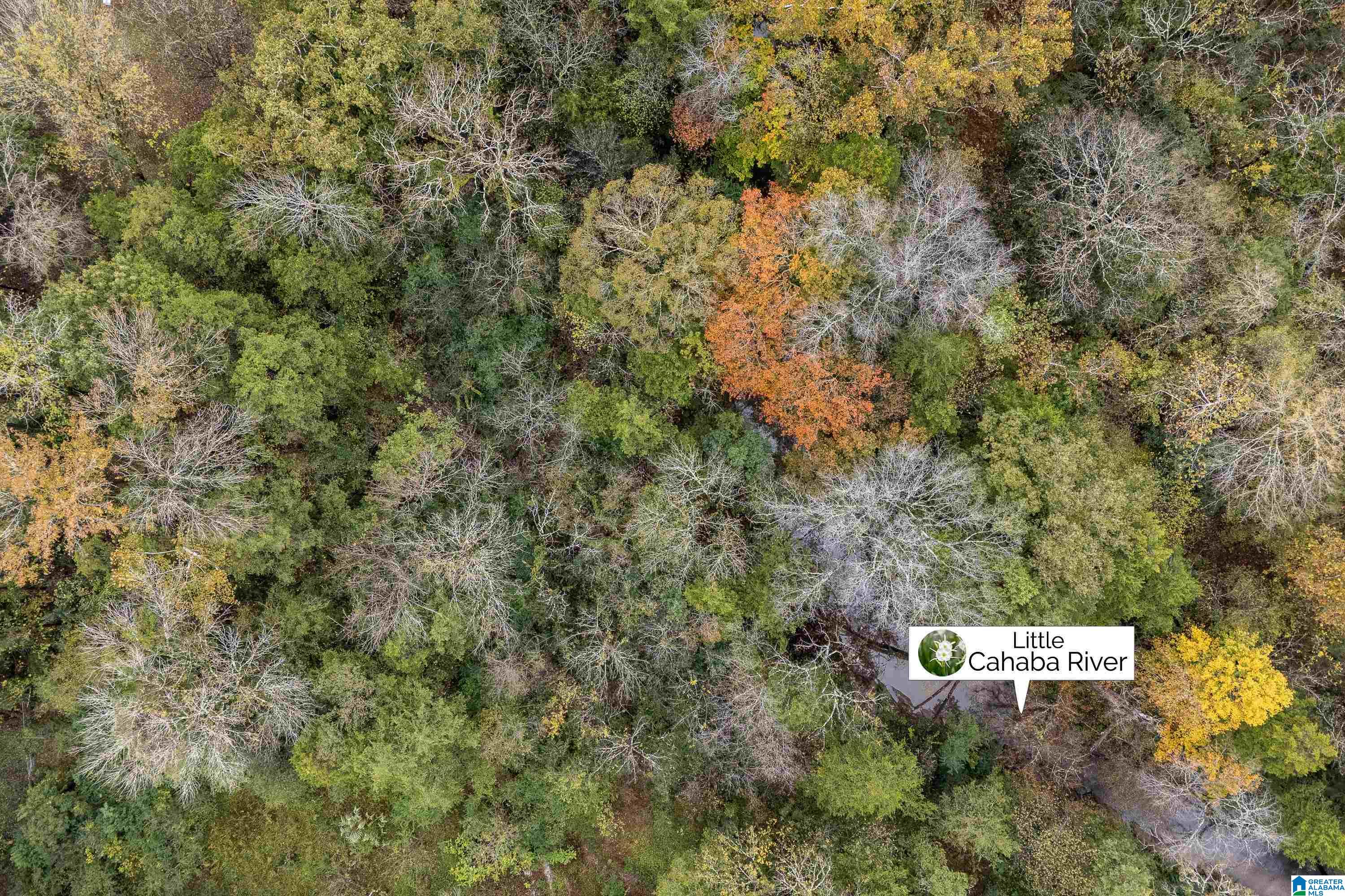 1280 Ashville Road Leeds, AL 35094 - Photo 42 of 50