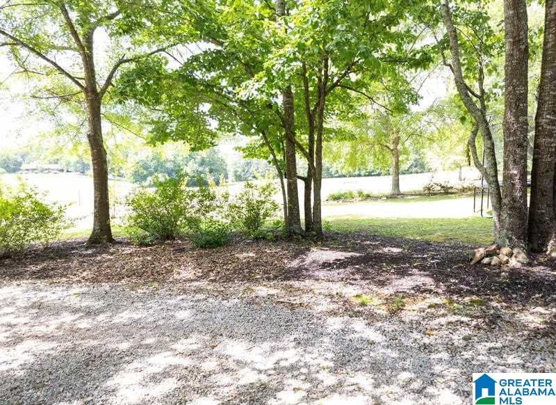 1081 County Road 684 Roanoke, AL 36274 - Photo 25 of 26