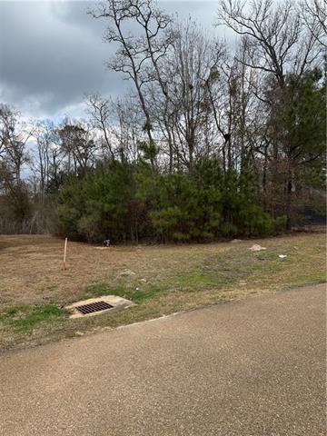 17306 Paddock Circle Hammond, LA 70403 - Photo 11 of 15