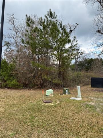 17306 Paddock Circle Hammond, LA 70403 - Photo 13 of 15