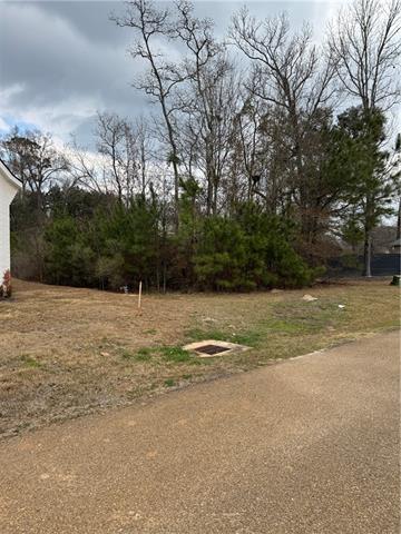 17306 Paddock Circle Hammond, LA 70403 - Photo 14 of 15