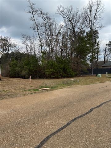 17306 Paddock Circle Hammond, LA 70403 - Photo 9 of 15