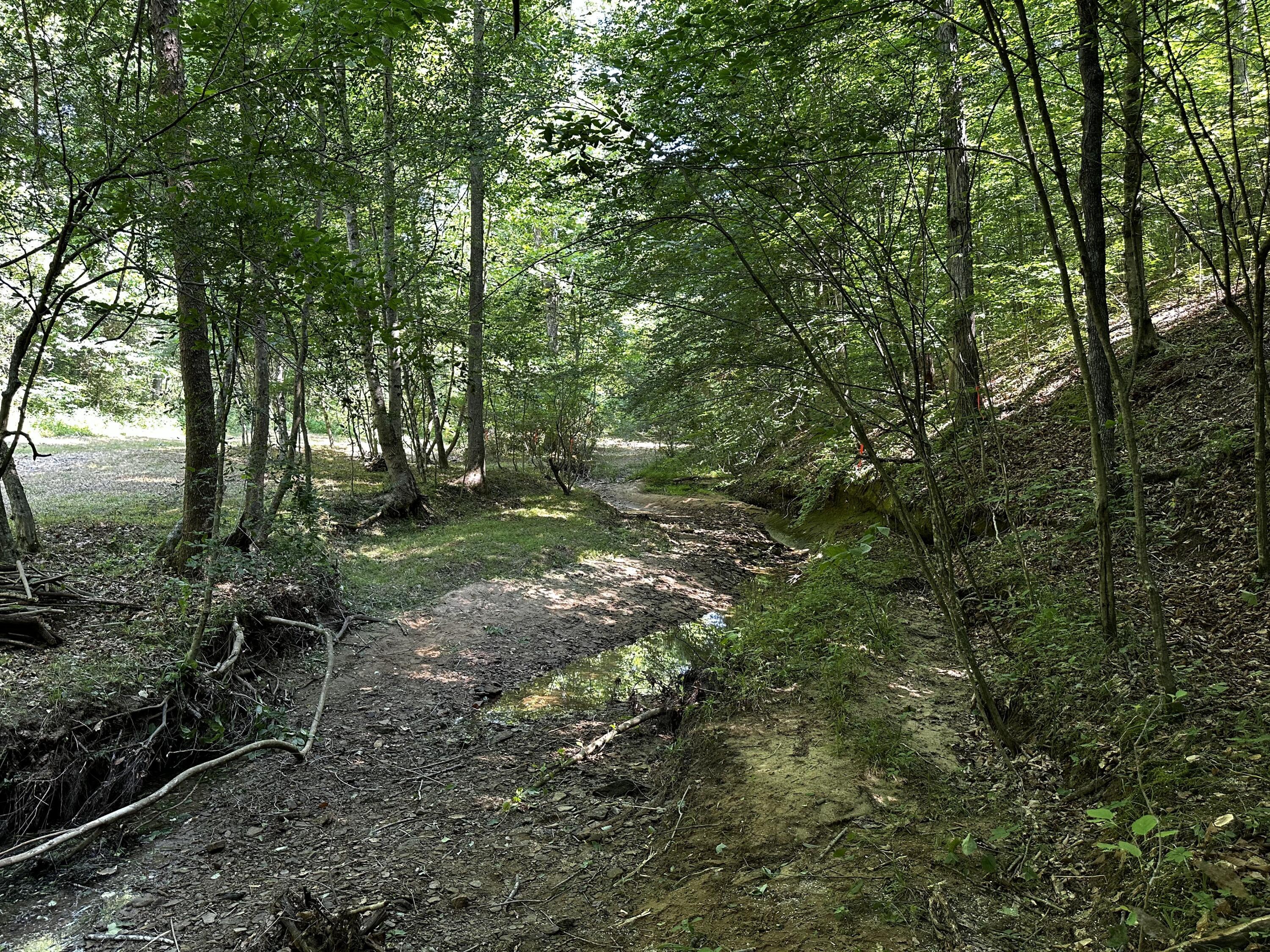 1101 Hull Road, Unit TRACT 9 WOODS WAYNE FOREST) Patriot, OH 45658 - Photo 47 of 61 20240621_151016907_iOS