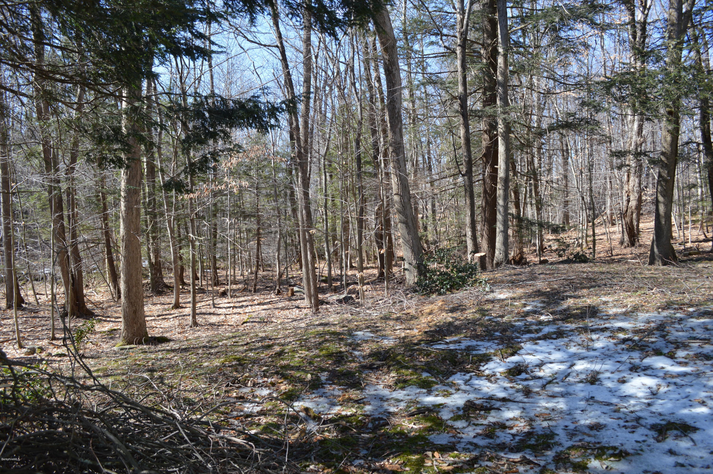 98 Wade Inn Road Becket, MA 01223 - Photo 4 of 30 a backyard of a house with lots of green space