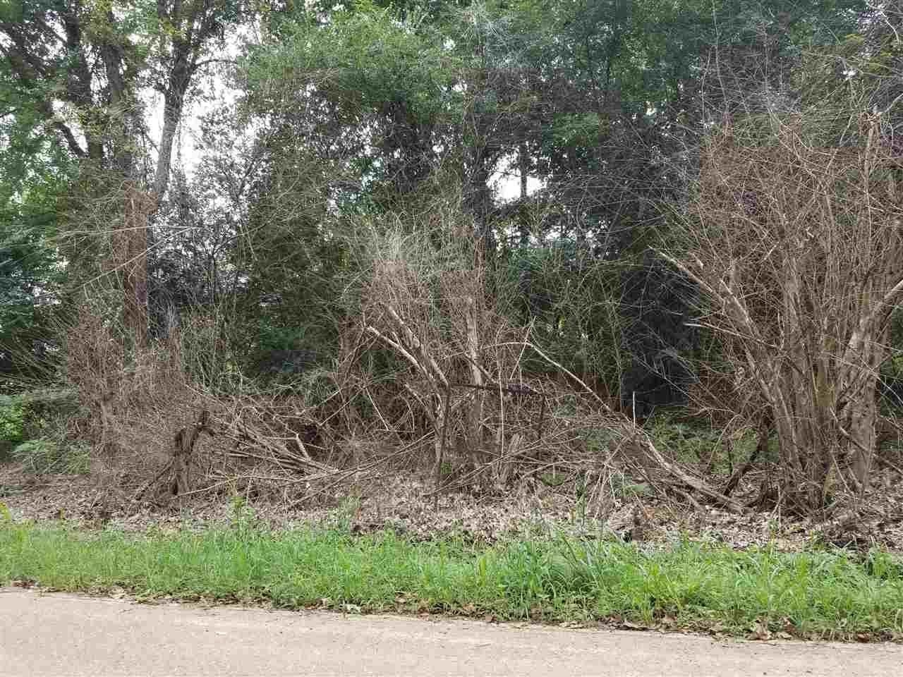 0 Dent Road Eads, TN 38028 - Photo 1 of 2 Gallery Image 1