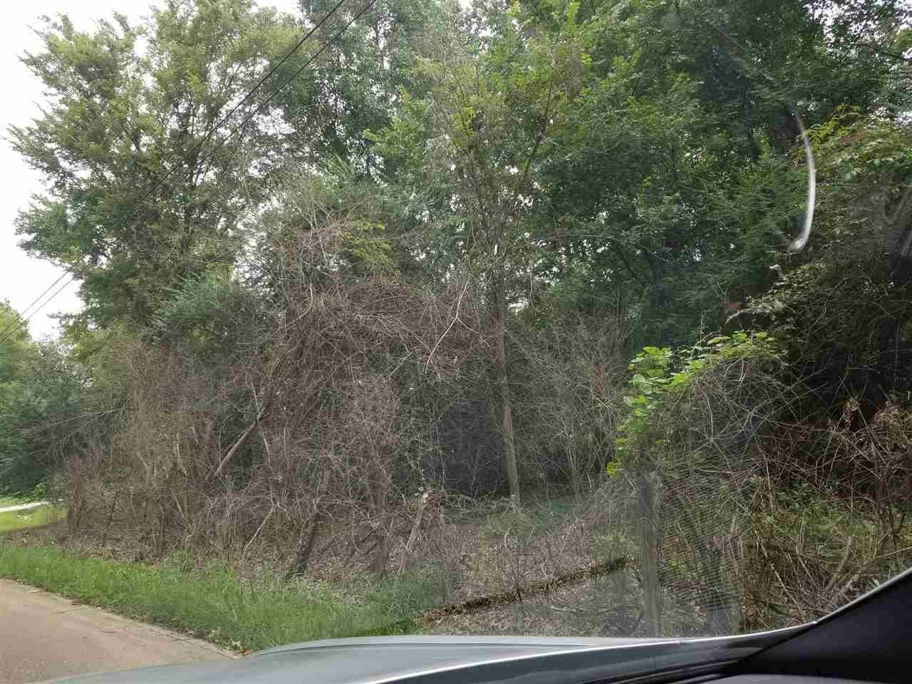 0 Dent Road Eads, TN 38028 - Photo 2 of 2 Gallery Image 2