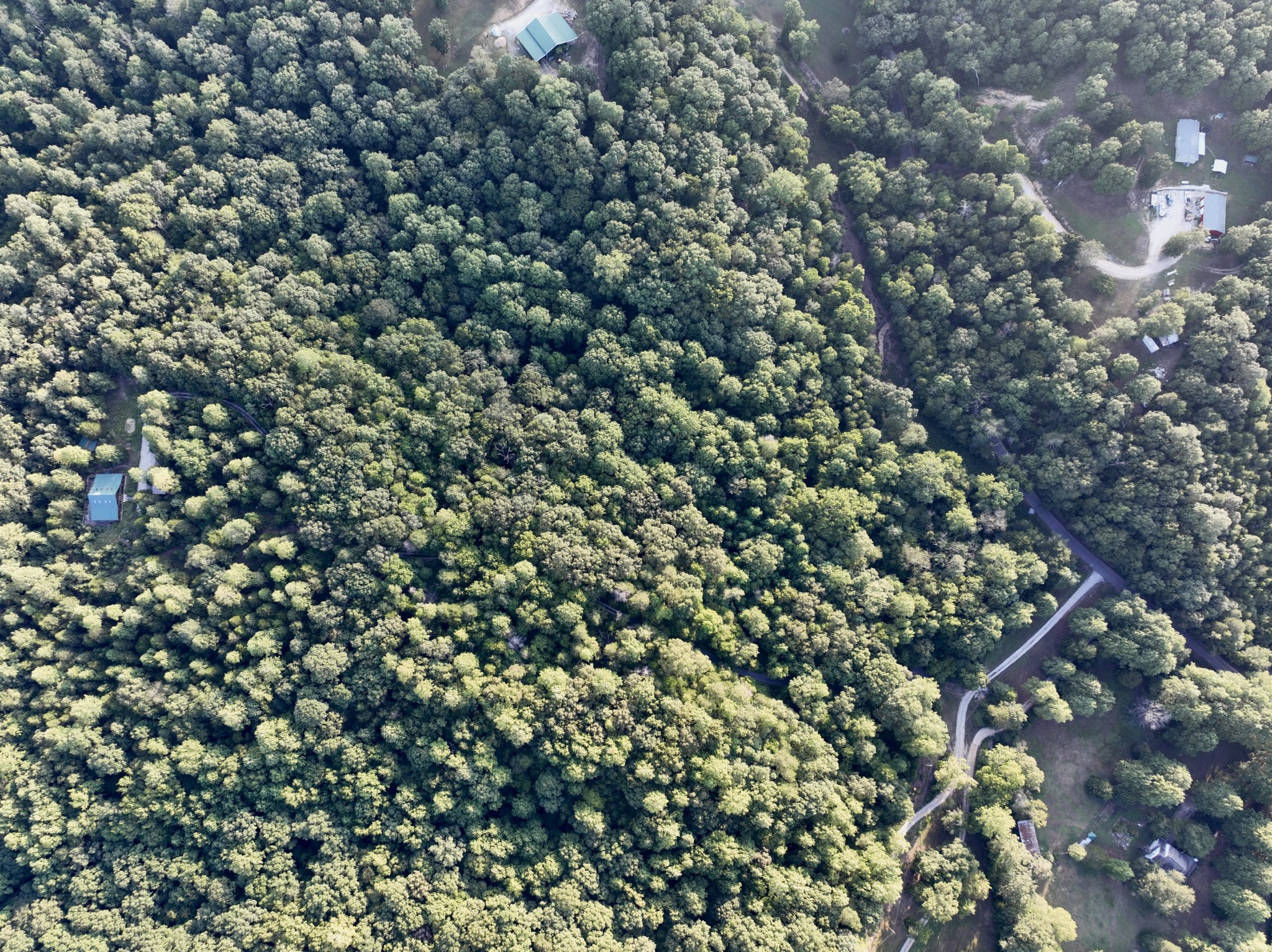 1 Hillcrest Road Dickson, TN 37055 - Photo 17 of 18 a view of a tree