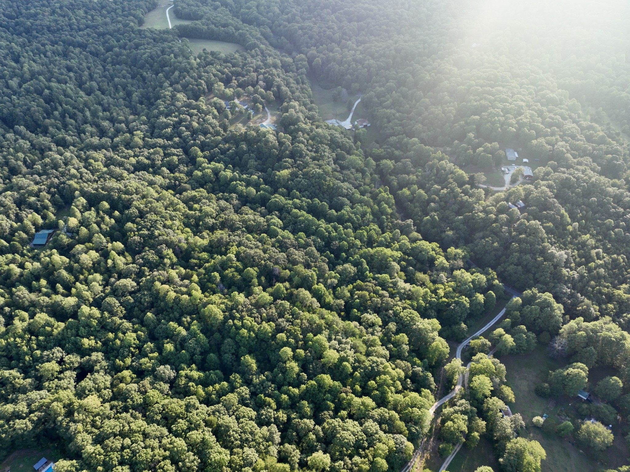 1 Hillcrest Road Dickson, TN 37055 - Photo 18 of 18 a view of a forest with a tree