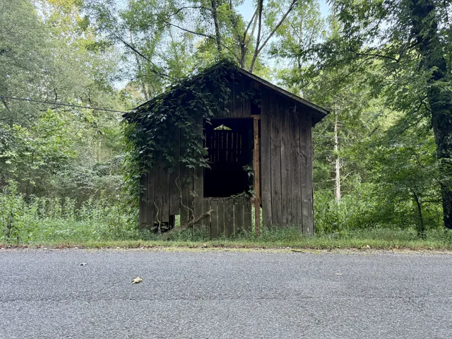a backyard of a house with lots of green space