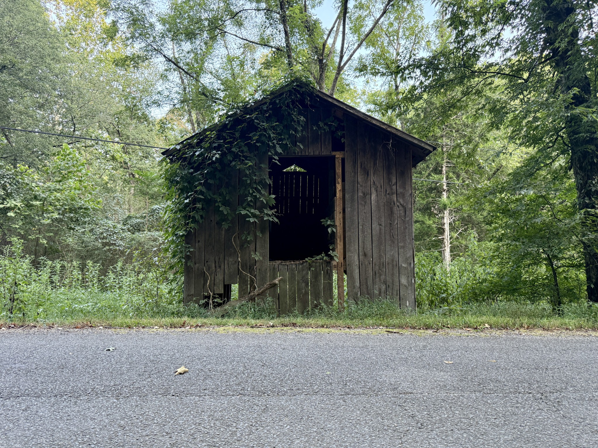 1 Hillcrest Road Dickson, TN 37055 - Photo 2 of 18 a backyard of a house with lots of green space