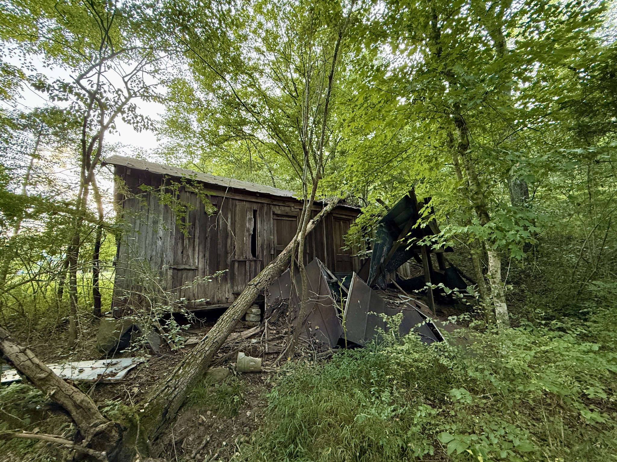 1 Hillcrest Road Dickson, TN 37055 - Photo 5 of 18 a backyard of a house with table and chairs