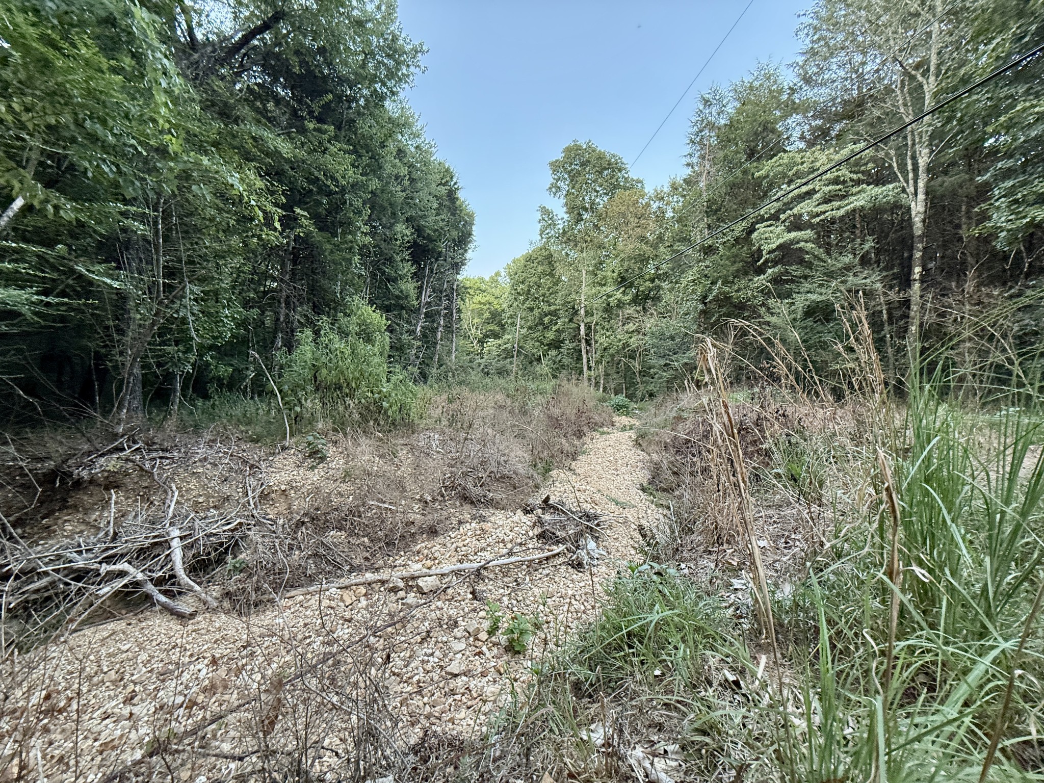 1 Hillcrest Road Dickson, TN 37055 - Photo 7 of 18 a view of a forest with trees in the background