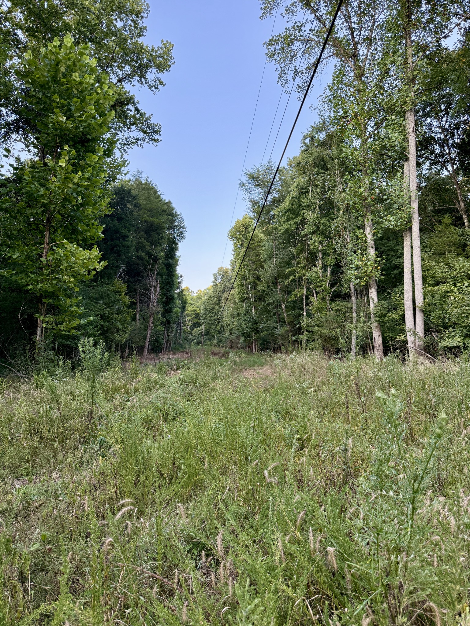1 Hillcrest Road Dickson, TN 37055 - Photo 8 of 18 a view of outdoor space and yard
