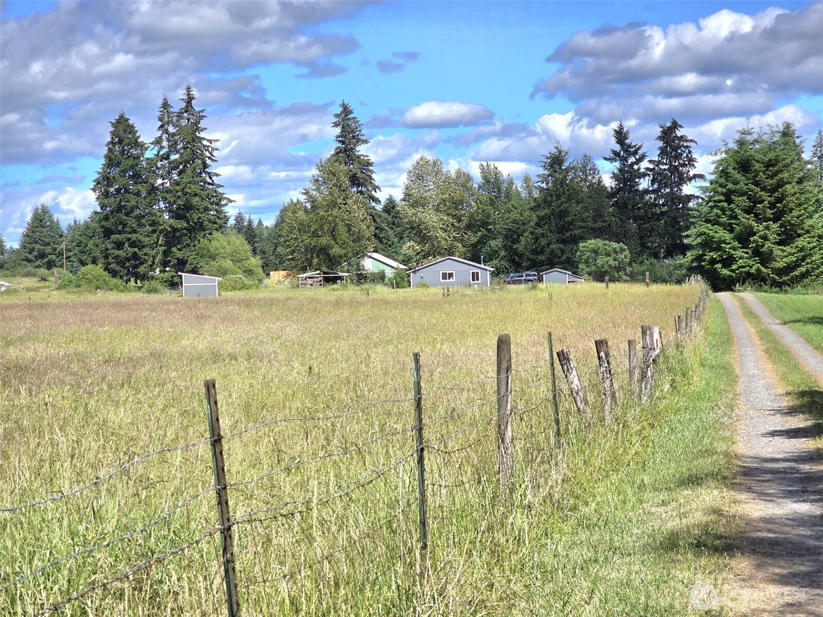 11916 Fillman Road Southeast Rainier, WA 98576 - Photo 32 of 33