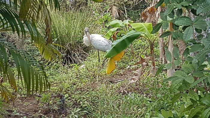 3050 Beck Boulevard, Unit M3 Naples, FL 34114 - Photo 17 of 18