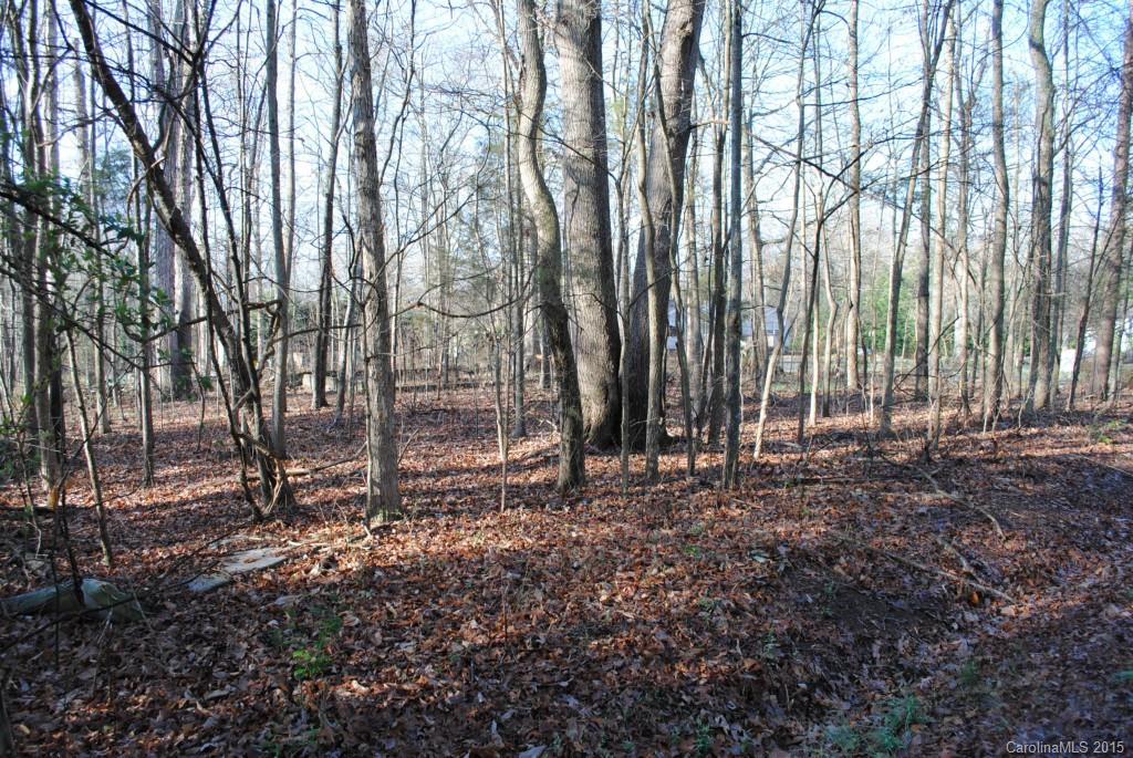 a view of a backyard with trees