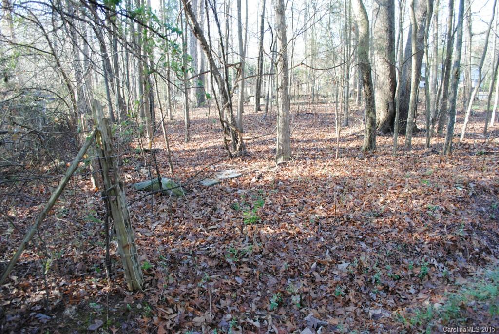 0 Correll Loop Road Salisbury, NC 28146 - Photo 2 of 9 a backyard of a house with lots of green space