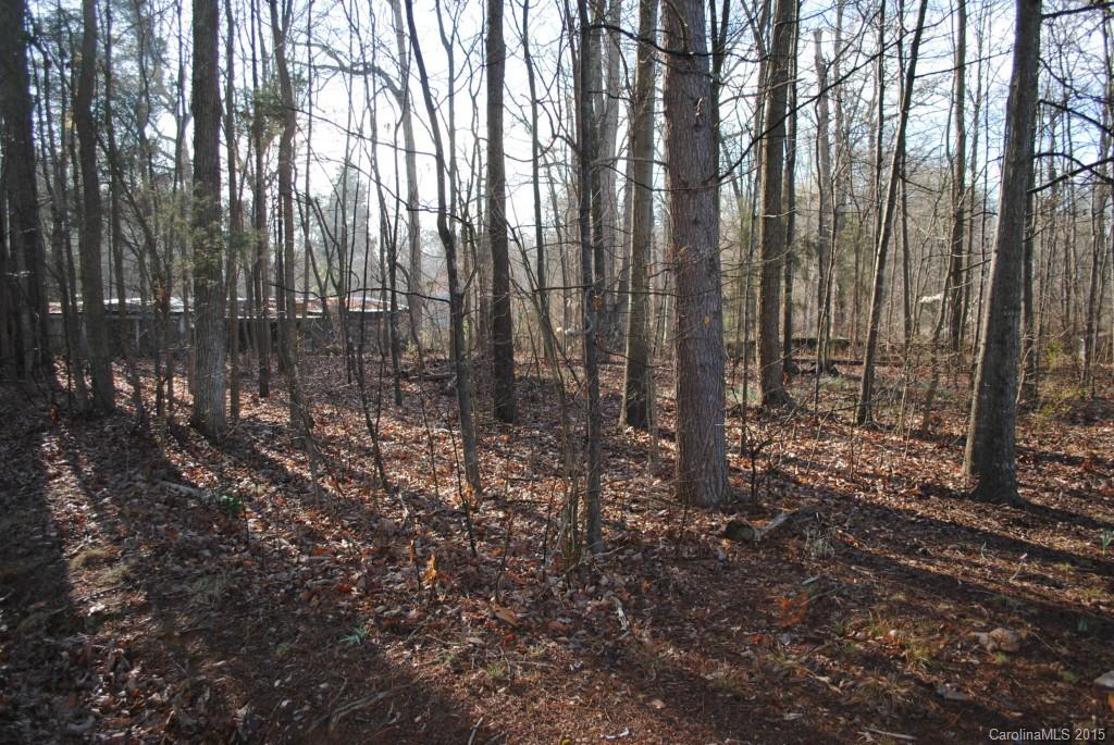 0 Correll Loop Road Salisbury, NC 28146 - Photo 5 of 9 a view of forest