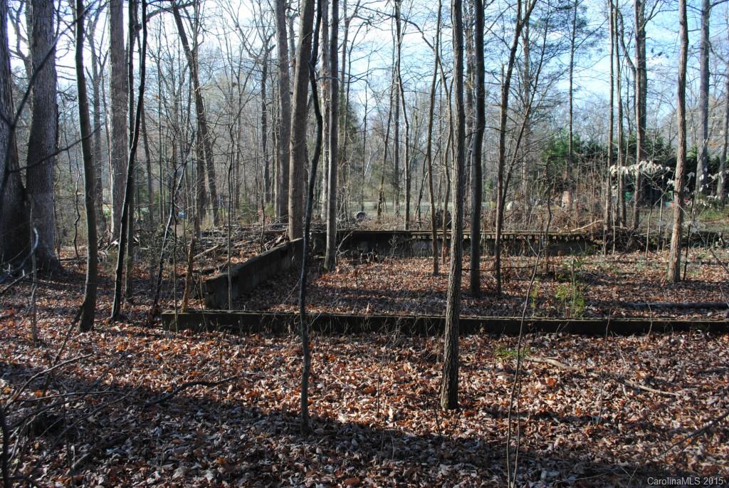 0 Correll Loop Road Salisbury, NC 28146 - Photo 6 of 9