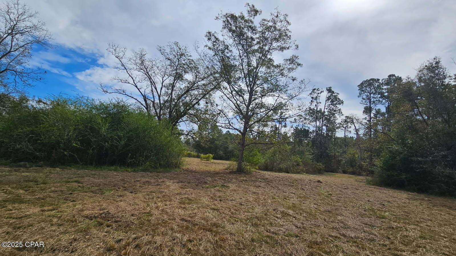 3815 Smokey Road Cottondale, FL 32431 - Photo 3 of 10