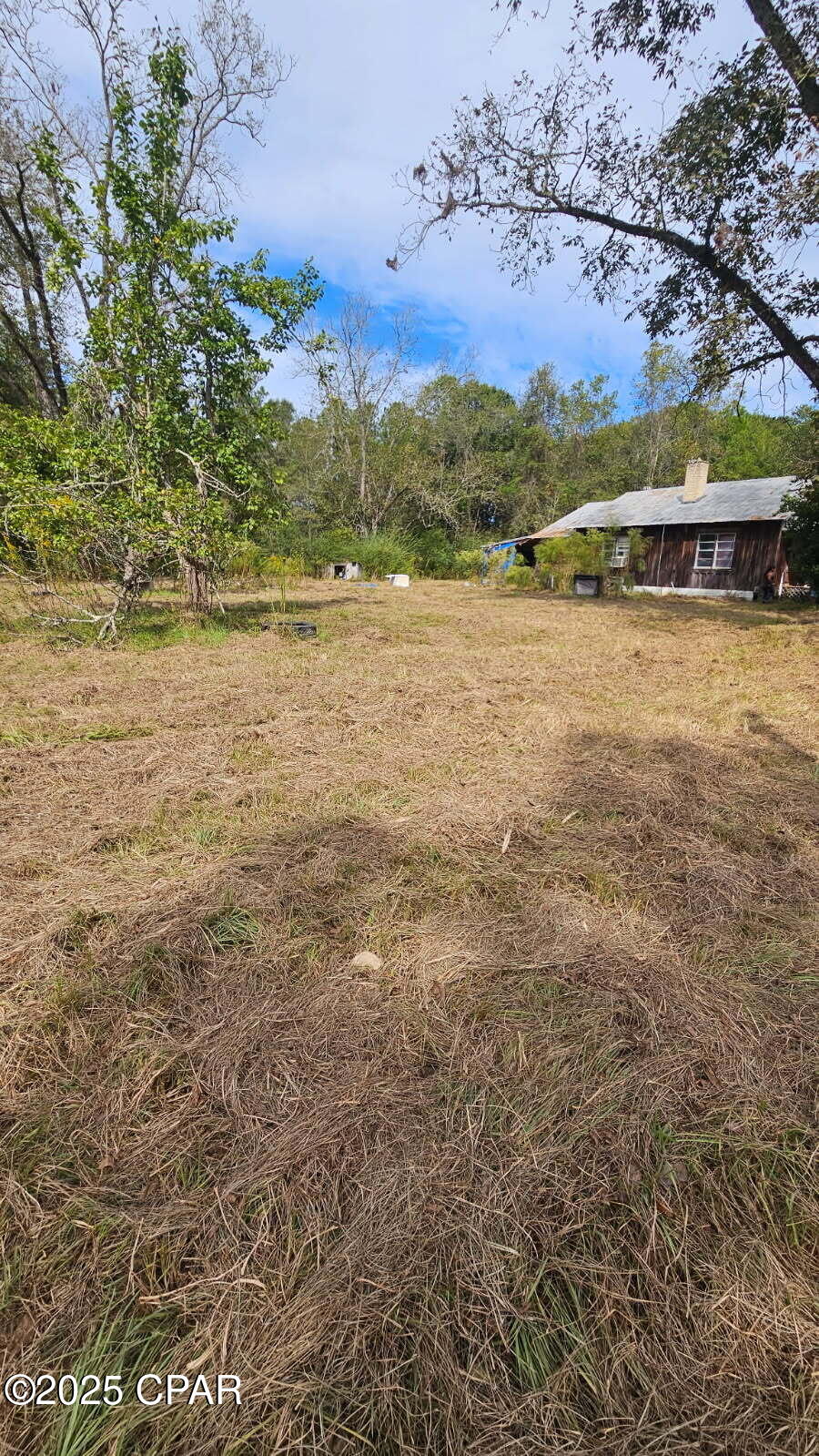 3815 Smokey Road Cottondale, FL 32431 - Photo 6 of 10