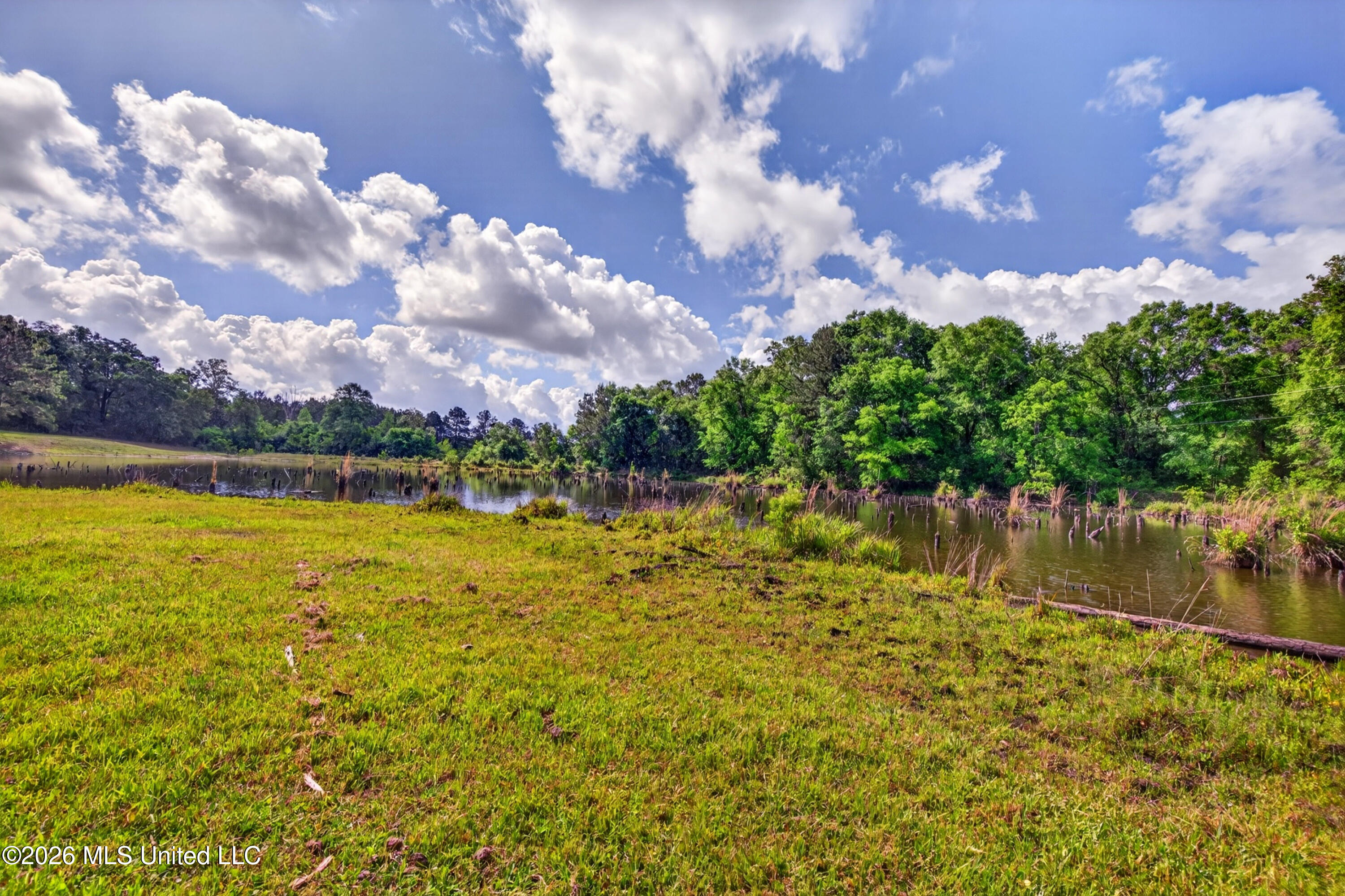 181 Debert Adams Road Lucedale, MS 39452 - Photo 47 of 92 181DebertAdamsRd-11