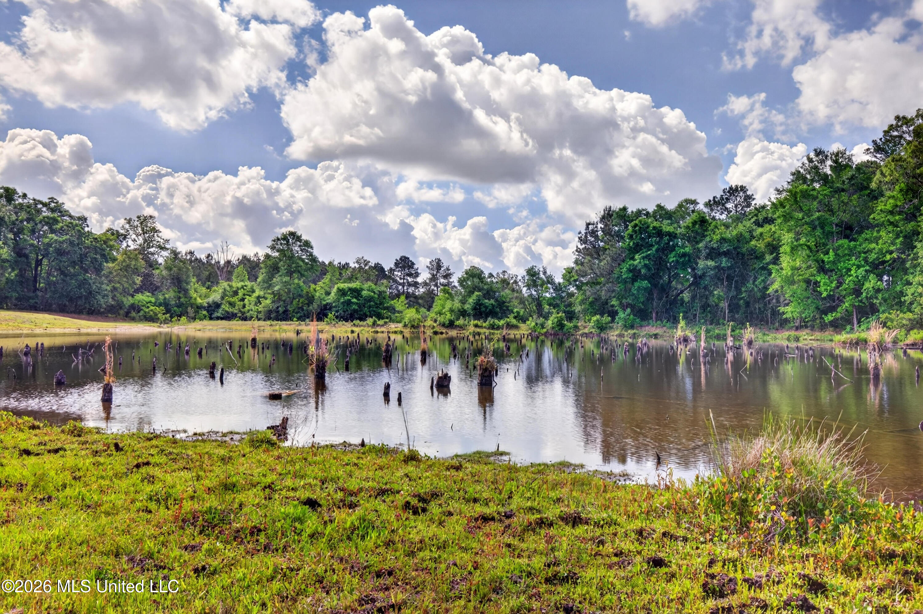 181 Debert Adams Road Lucedale, MS 39452 - Photo 48 of 92 181DebertAdamsRd-12