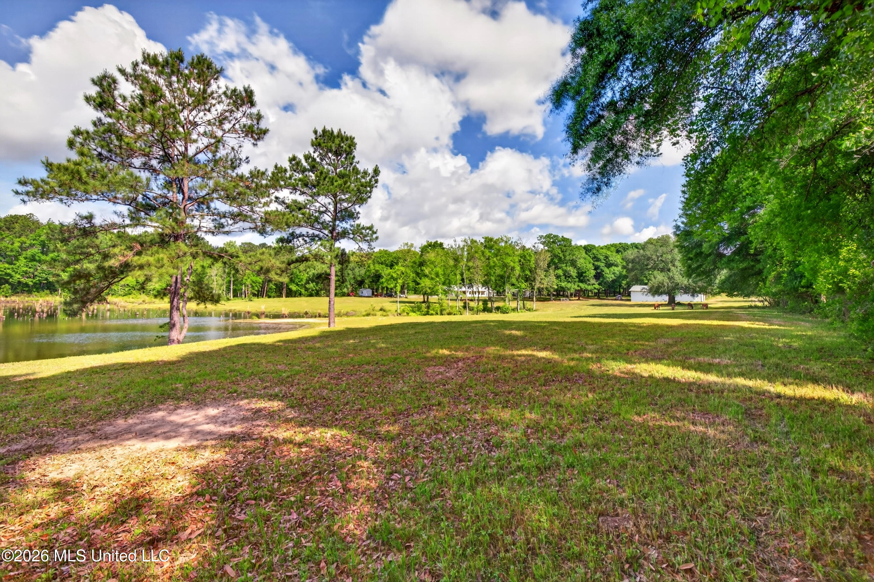 181 Debert Adams Road Lucedale, MS 39452 - Photo 55 of 92 181DebertAdamsRd-19